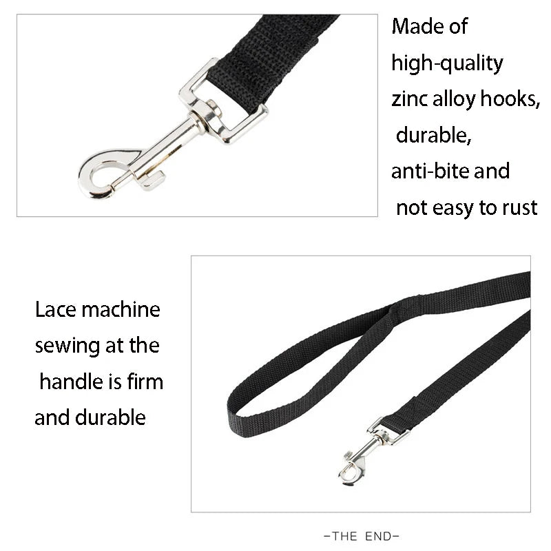 Long Outdoor Dog Training Leash